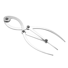 Stainless Steel Caliper